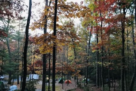 Chinquapin Hill Campground