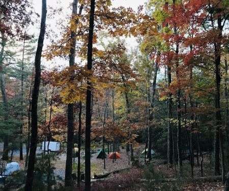 Chinquapin Hill Campground