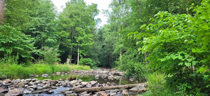 Chinquapin Hill Campground 2