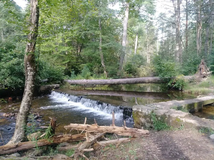 Chinquapin Hill Campground 3