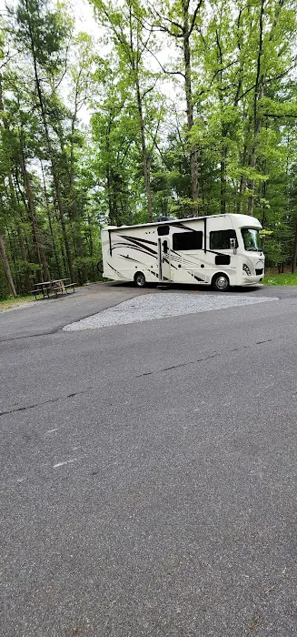 Chinquapin Hill Campground 6