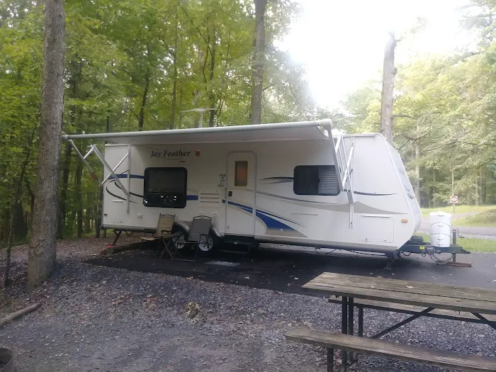 Chinquapin Hill Campground 9