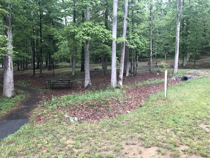 Chinquapin Hill Campground 7