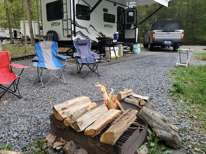 Hosack Run Campground 1