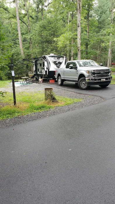 Hosack Run Campground 7