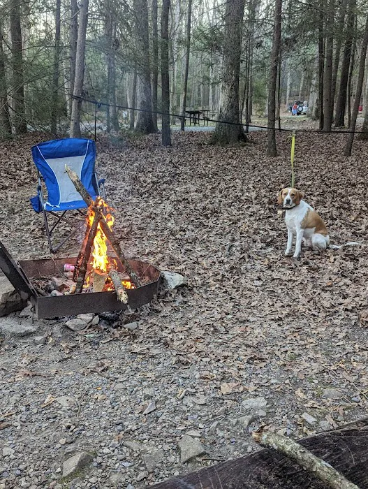 Hosack Run Campground 8