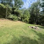 Primitive Campsite #12
