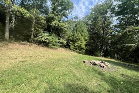 Primitive Campsite #12