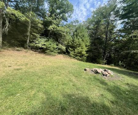 Primitive Campsite #12
