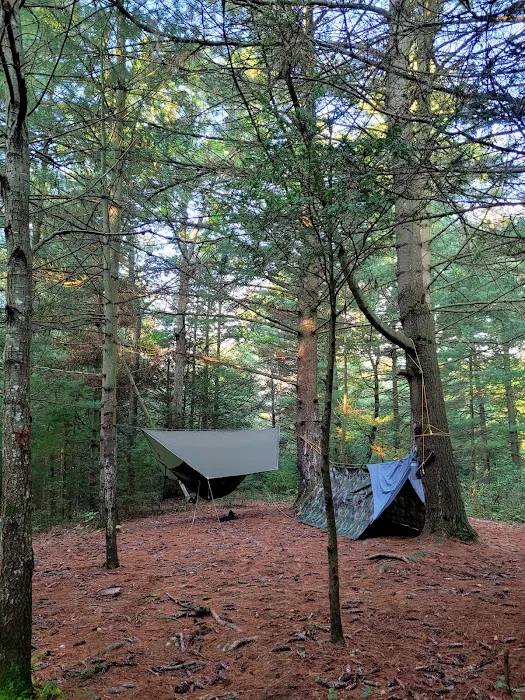 Primitive Campsite #12 2