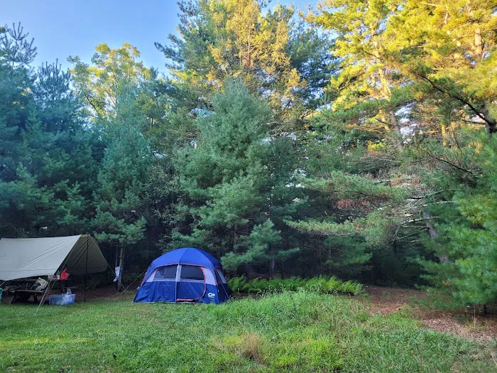 Primitive Campsite #12 3