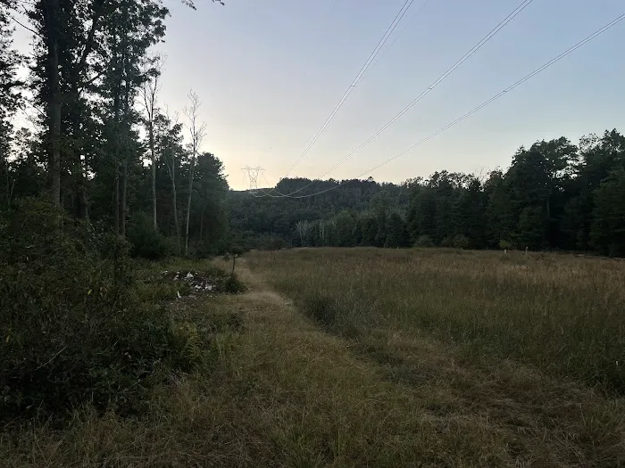 Primitive Campsite #12 9