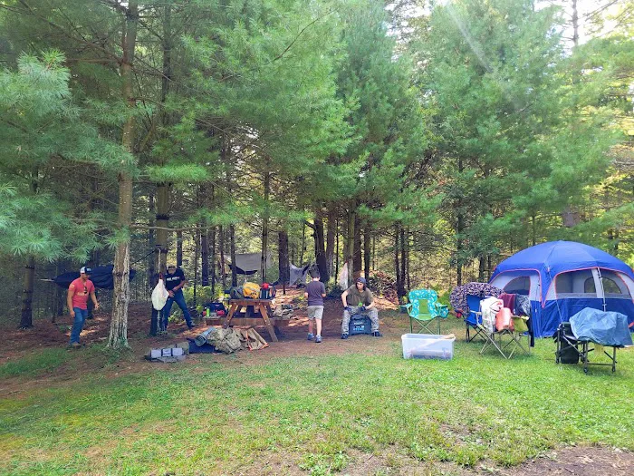 Primitive Campsite #12 10