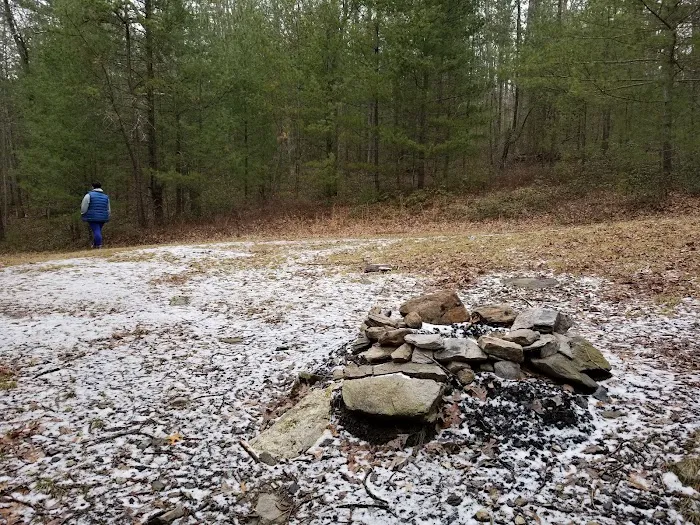 Primitive Campsite #11 3