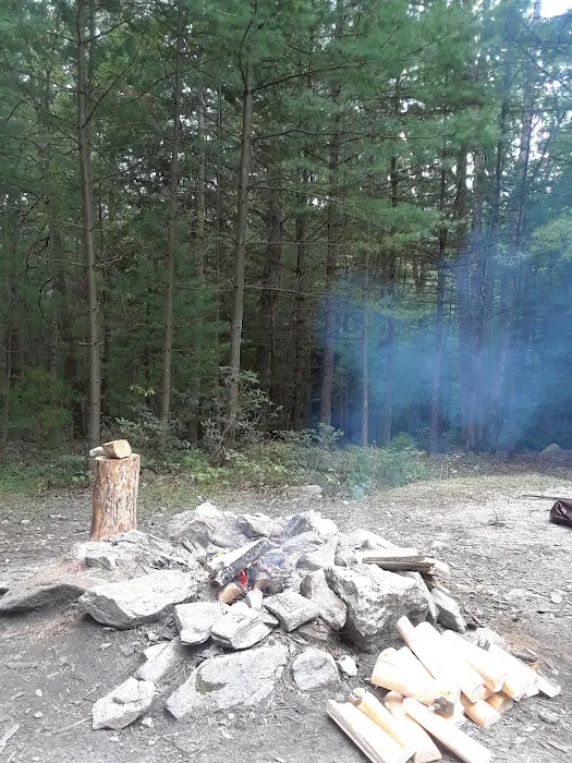Primitive Campsite #11 8