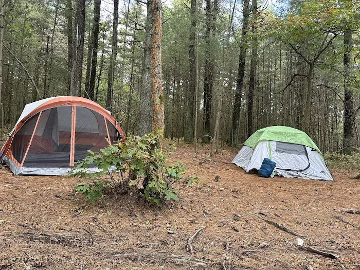 Primitive Campsite #10 1