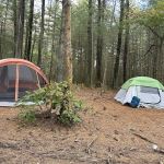 Primitive Campsite #10