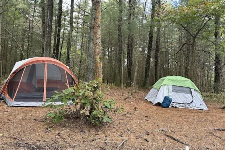 Primitive Campsite #10