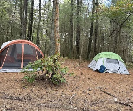 Primitive Campsite #10