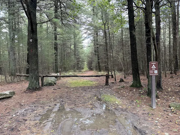 Primitive Campsite #10 3