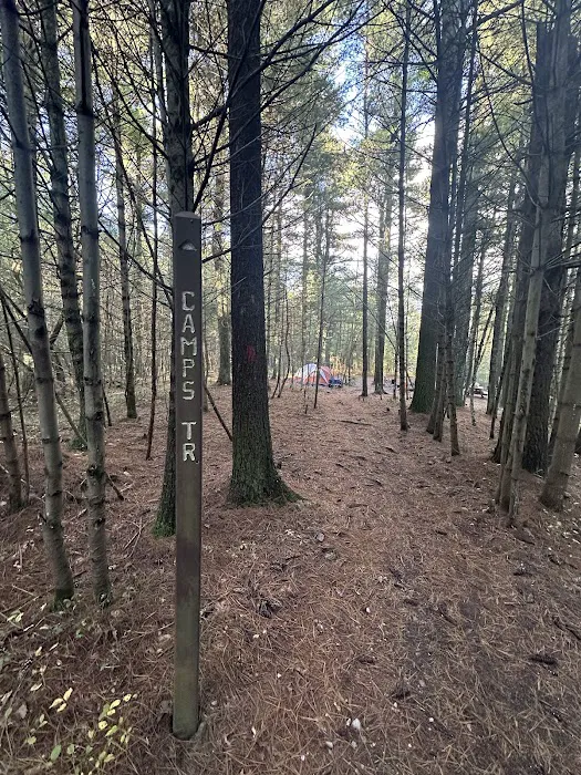 Primitive Campsite #10 6