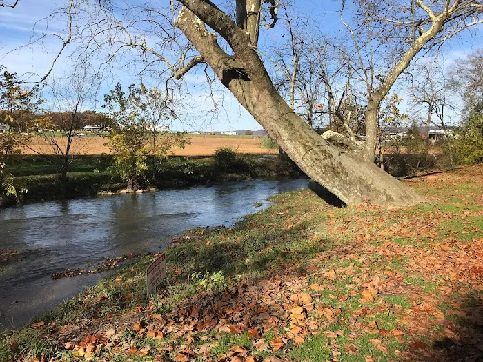 Twin Bridge Campground 4