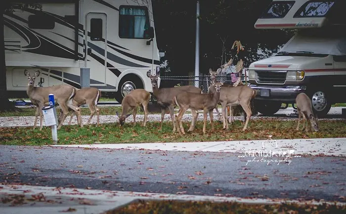 Marylander RV Park 3