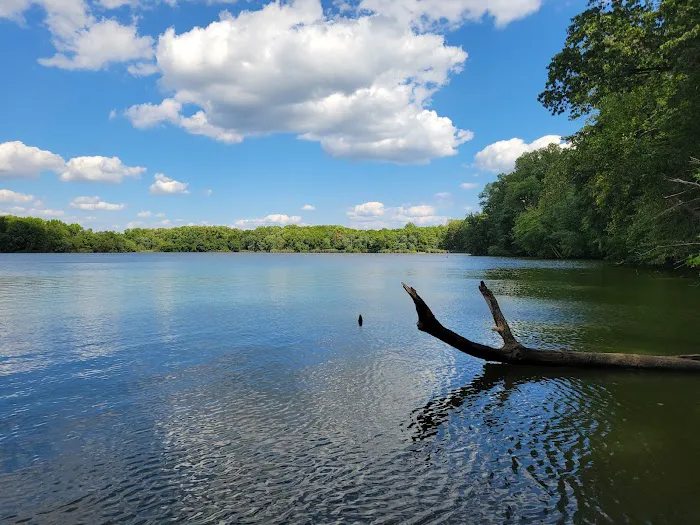 Lums Pond State Park Campground 3