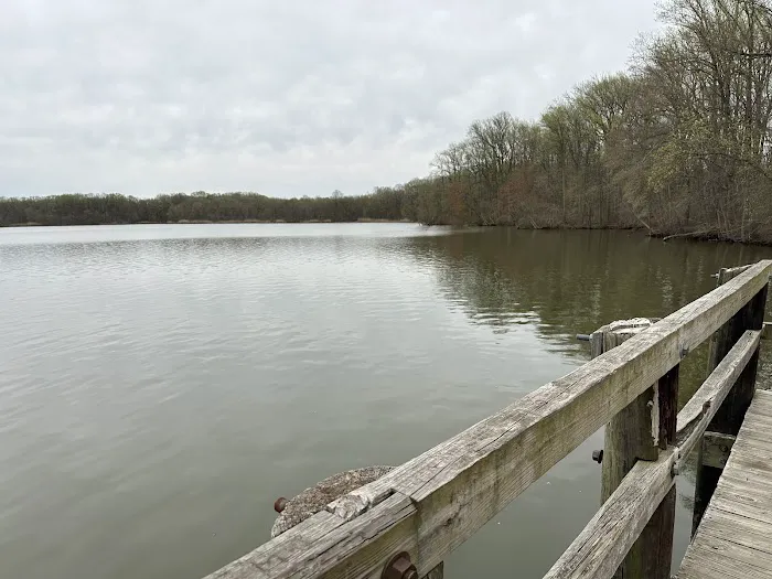 Lums Pond State Park Campground 5