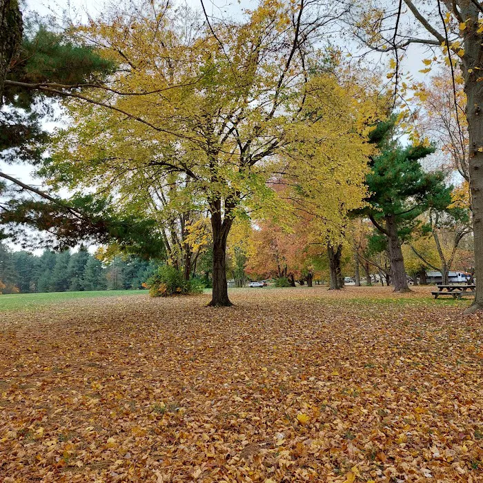 Lums Pond State Park Campground 8
