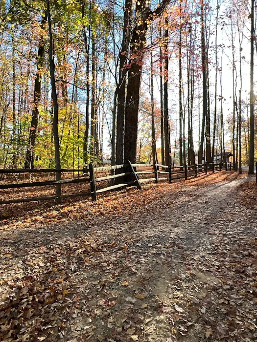 Lums Pond State Park Campground 7