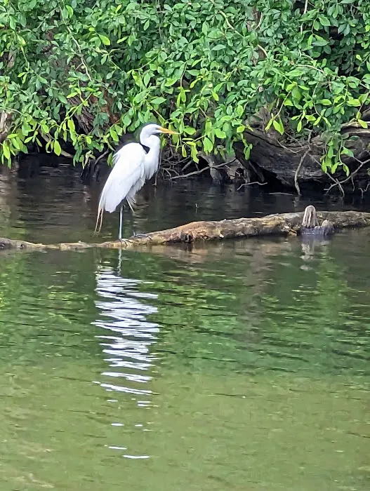 Lums Pond State Park Campground 9