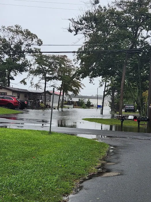 Bay City Mobile Home Park 3