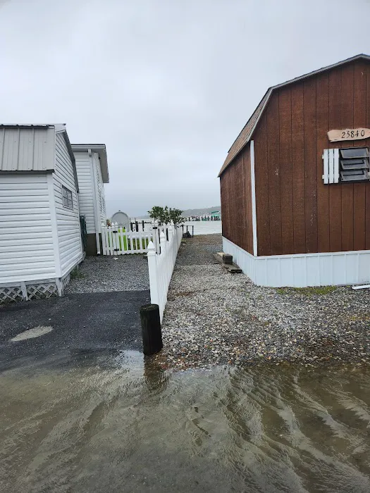 Bay City Mobile Home Park 8