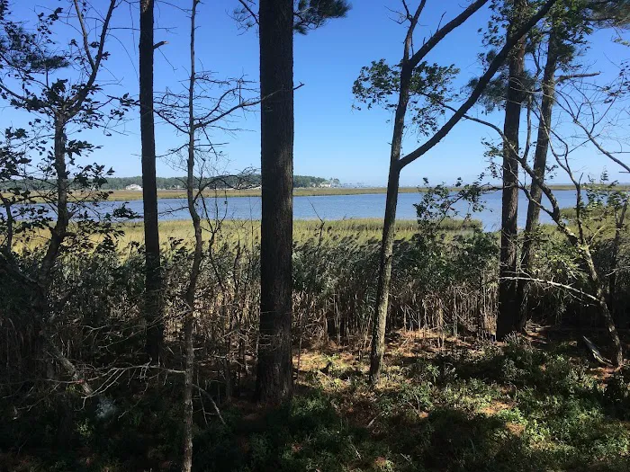 Lighthouse Beach RV Resort 3