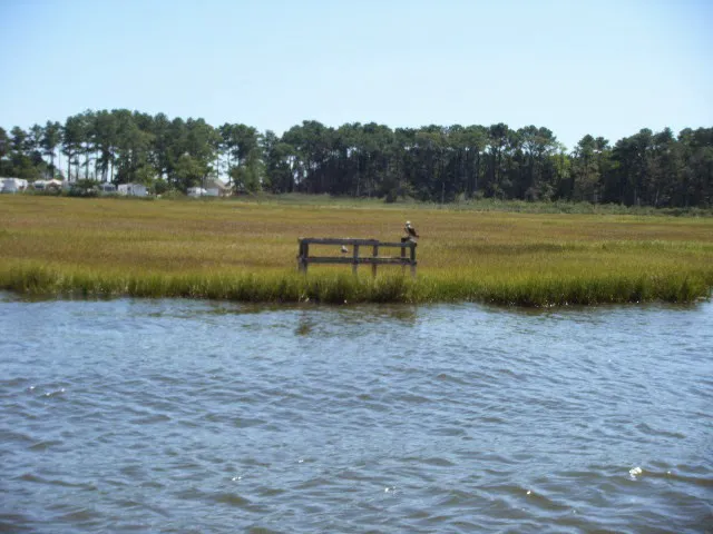 Mariner's Cove 4