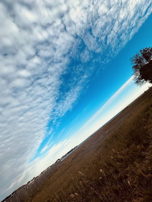 Port Delmarva 6