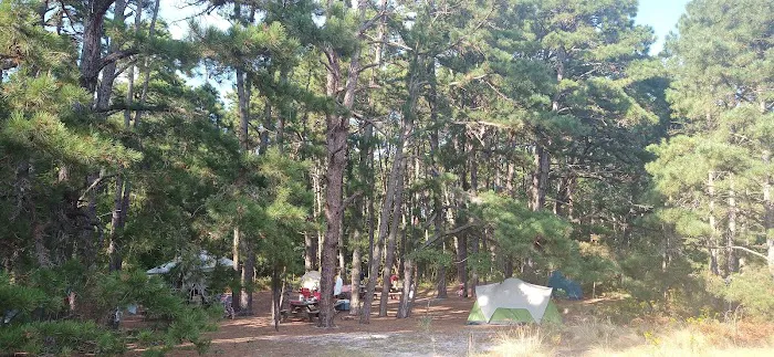Group Campsites 2