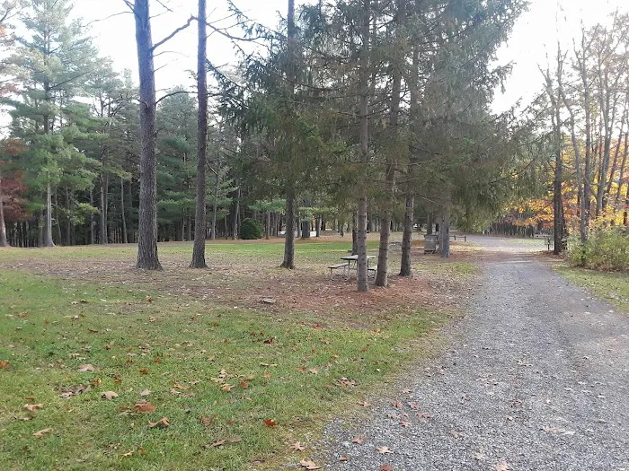 Camp Golden Pond 6