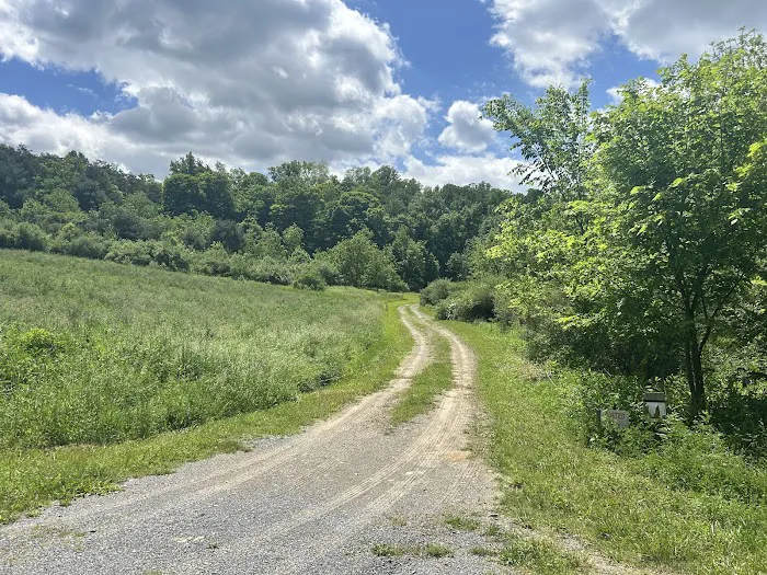Wilson’s Boondock Hollow 1