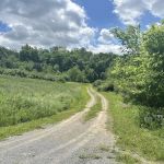 Wilson’s Boondock Hollow