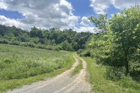 Wilson’s Boondock Hollow