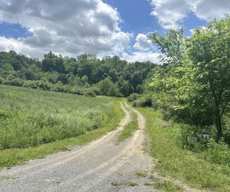 Wilsonu2019s Boondock Hollow