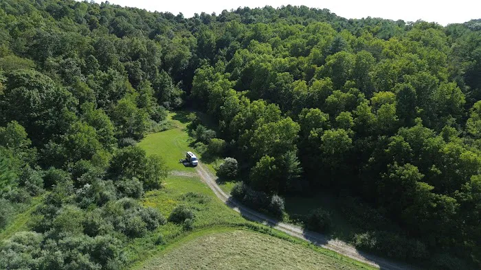Wilson’s Boondock Hollow 7