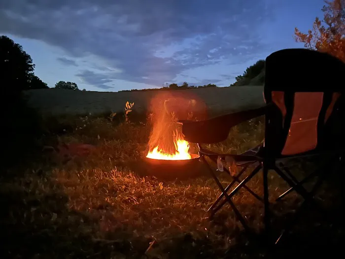 Wilson’s Boondock Hollow 8