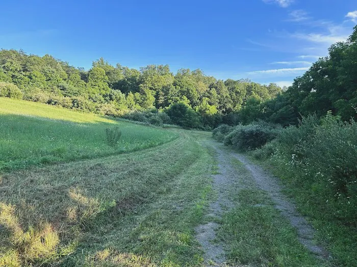 Wilson’s Boondock Hollow 10