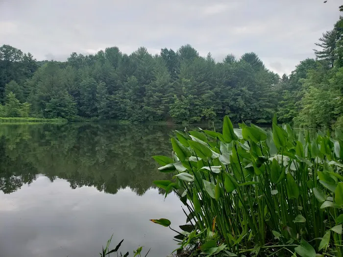 Woodland Campground 5