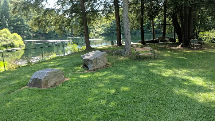 Woodland Campground 8