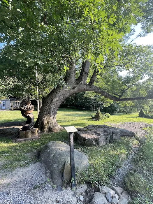 Woodland Campground 7