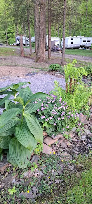 B-Bar-M Campground, LLC 4